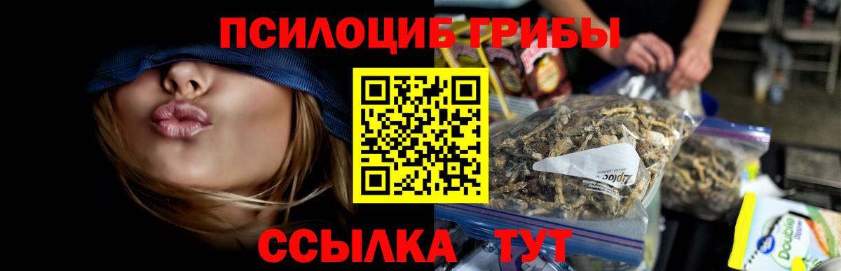 Электросталь  Галлюциногенные грибы Psilocybine cubensis  Галлюциногенные грибы ЛСД  Вход с VPN 
